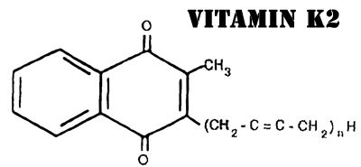 Vitamin K2 Natural Testosterone Booster