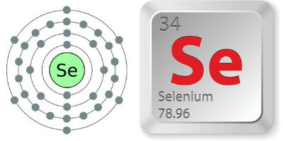 Selenium Testosterone Booster