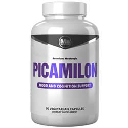 Picamilon Review 