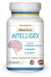 Intelligex Review 